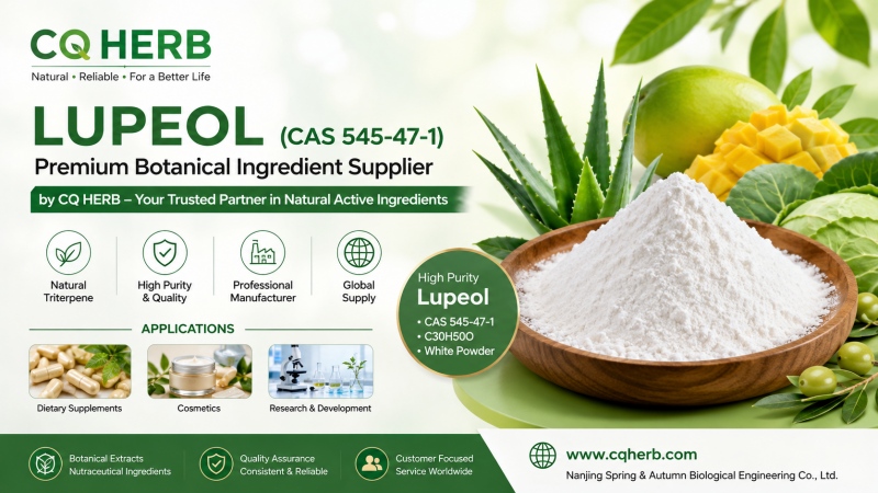CQ HERB Lupeol Supplier & Manufacturer | High Purity Lupeol CAS 545-47-1