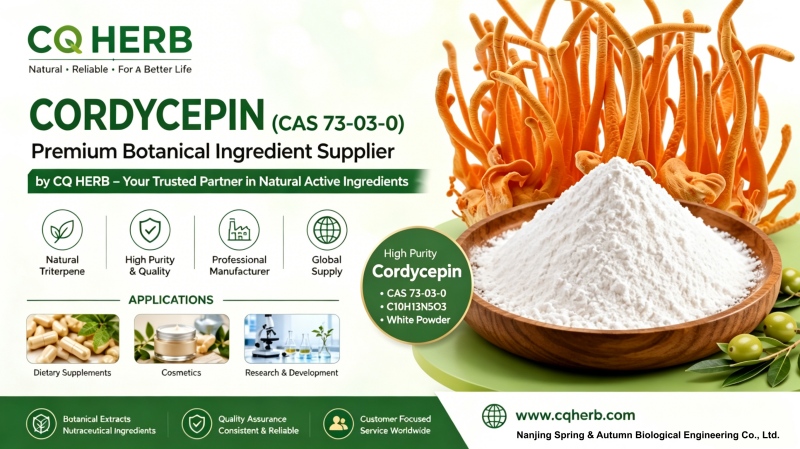 CQ HERB Cordycepin 98% Supplier & Manufacturer | Cordycepin CAS 73-03-0