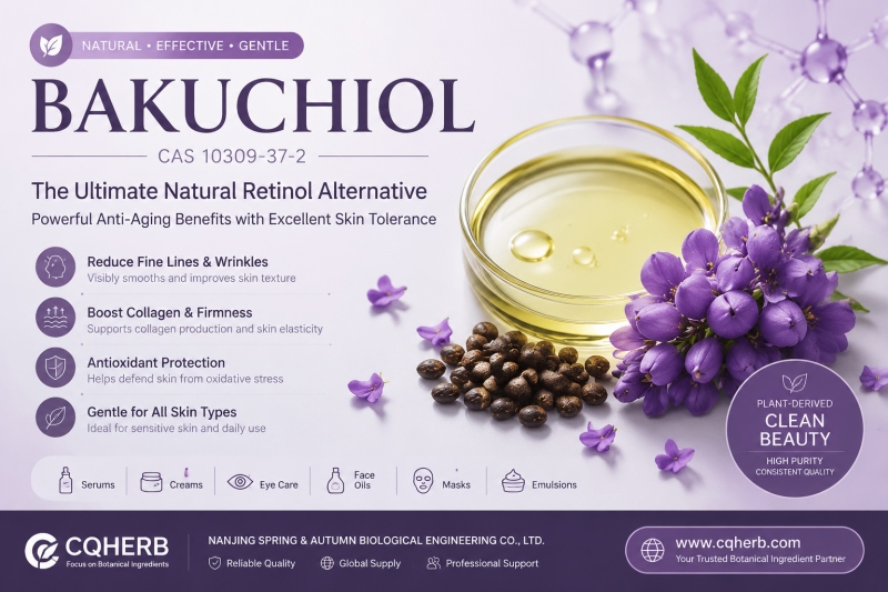 Bakuchiol (CAS 10309-37-2): Benefits, Applications, Scientific Research & Supplier Selection Guide (2026)