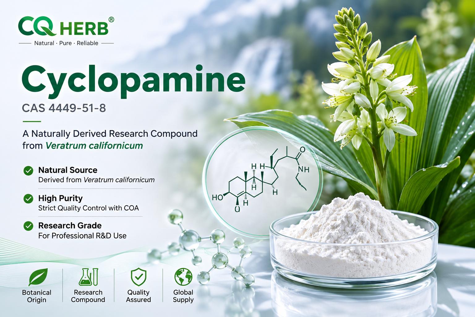 Cyclopamine (CAS 4449-51-8): Research Guide, Chemical Information, Botanical Source and Hedgehog Pathway Background