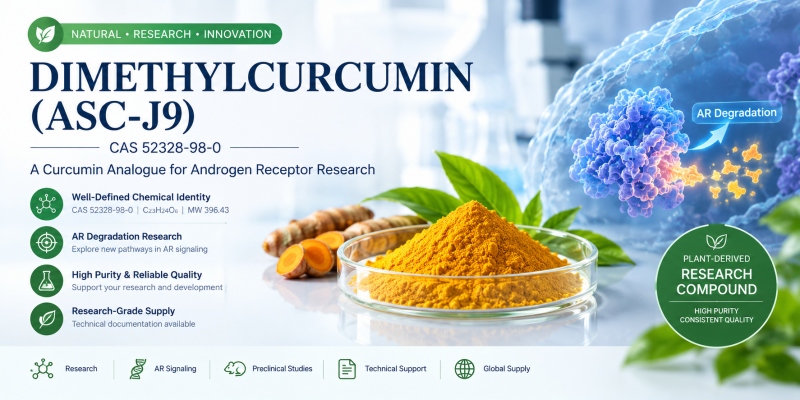 Dimethylcurcumin (ASC-J9) CAS 52328-98-0: Chemical Properties, Androgen Receptor Research, Applications & Buying Guide