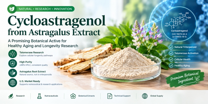 Astragalus Extract Cycloastragenol: U.S. Market Guide, Telomerase Research, Applications & Supplier Selection