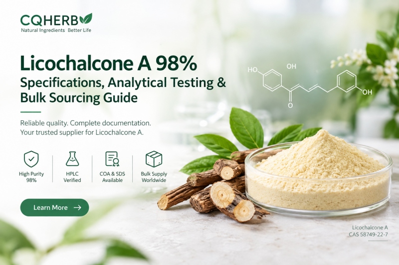 Licochalcone A 98%: Specifications, Analytical Testing & Bulk Sourcing Guide